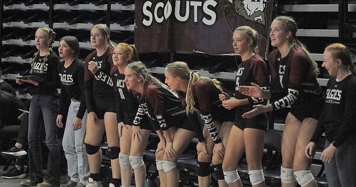 State Volleyball